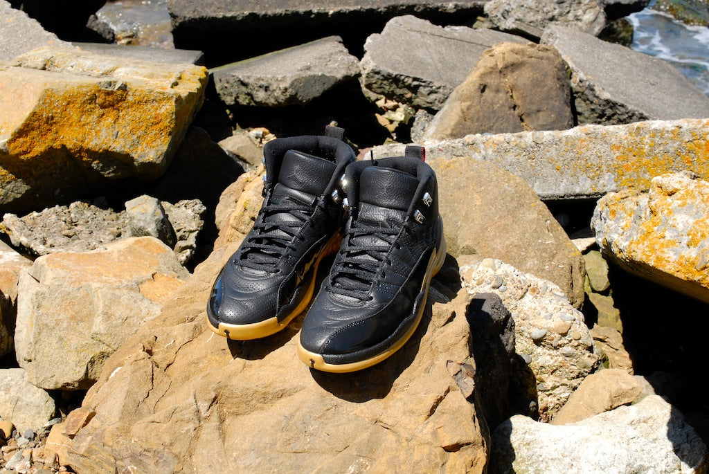 Kings Crown Air Jordan 12