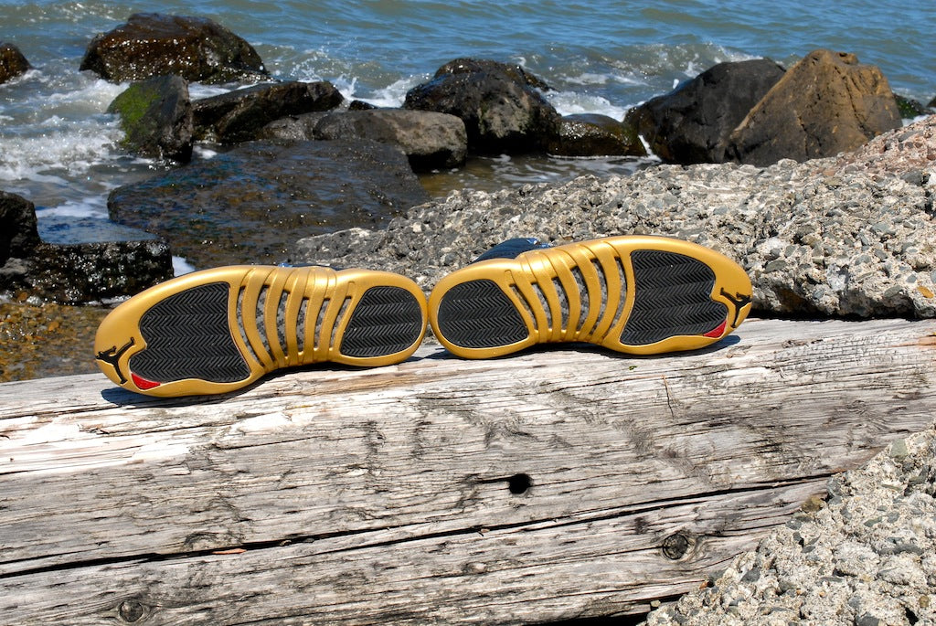 Kings Crown Air Jordan 12