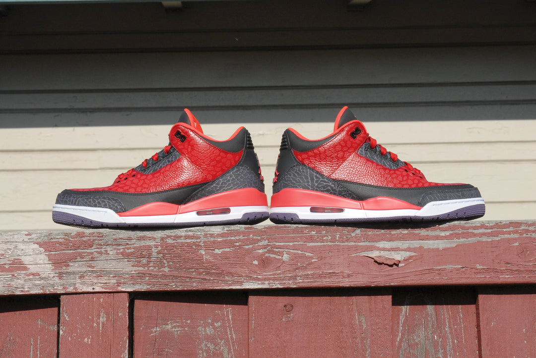 Raptor Air Jordan 3