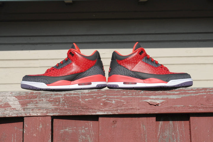 Raptor Air Jordan 3