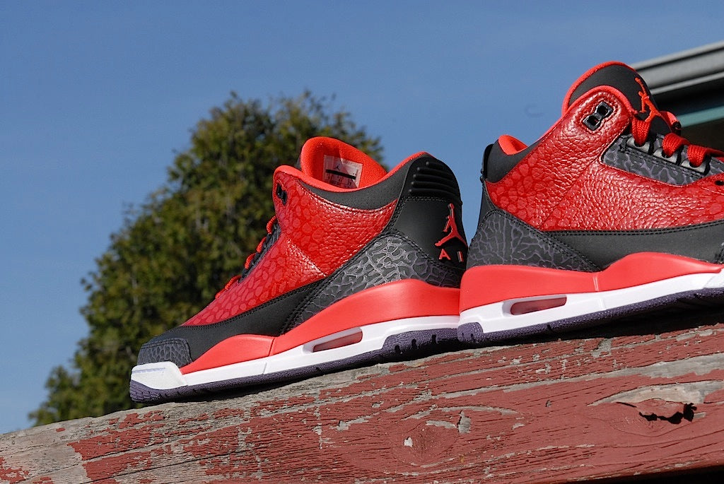 Raptor Air Jordan 3