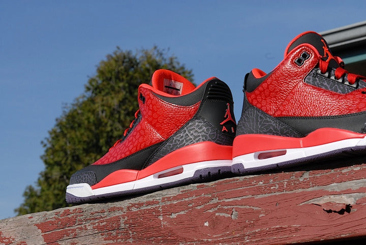 Raptor Air Jordan 3