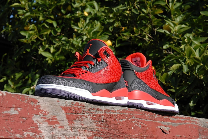 Raptor Air Jordan 3