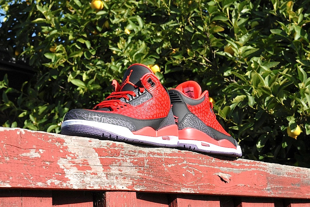 Raptor Air Jordan 3