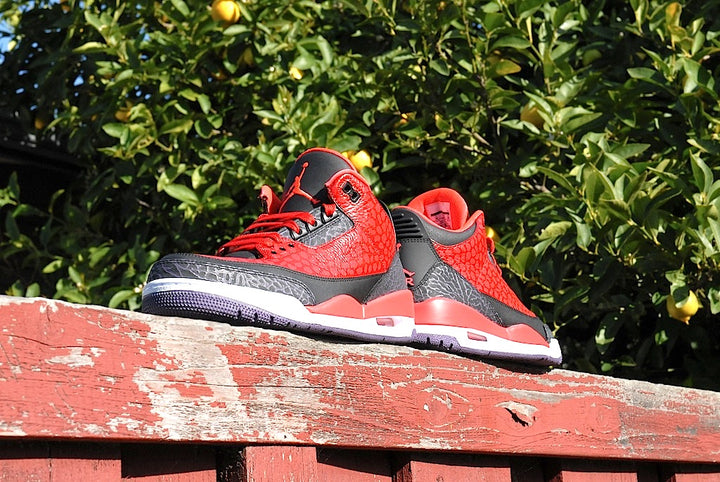 Raptor Air Jordan 3