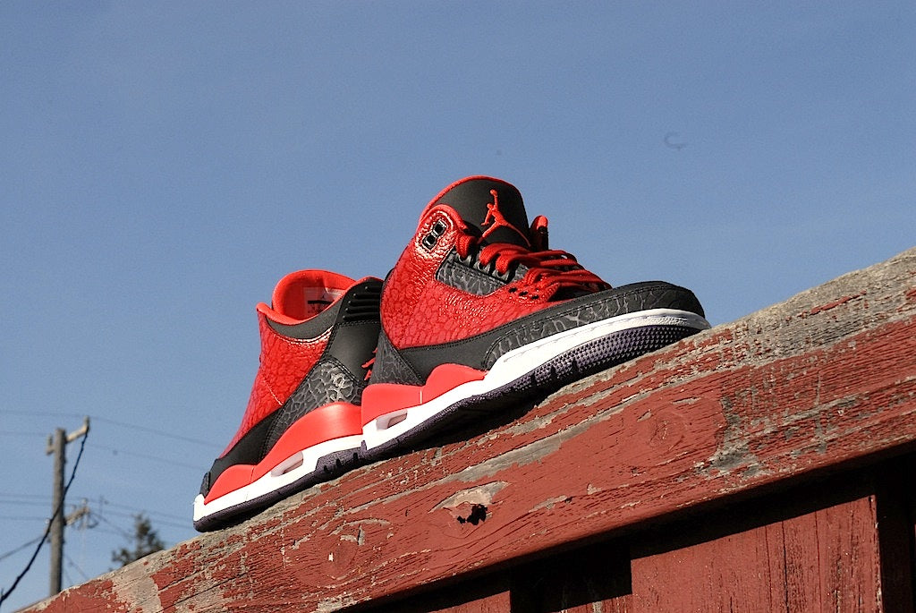 Raptor Air Jordan 3
