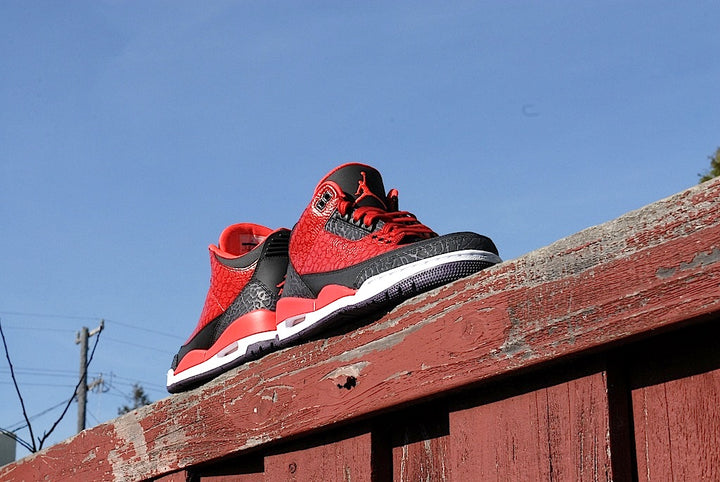 Raptor Air Jordan 3