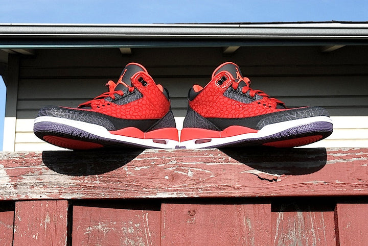 Raptor Air Jordan 3