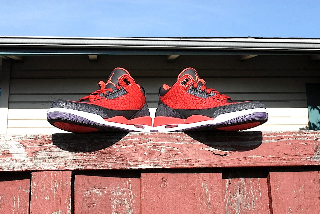 Raptor Air Jordan 3