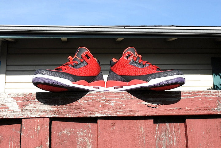 Raptor Air Jordan 3