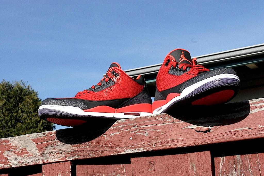 Raptor Air Jordan 3