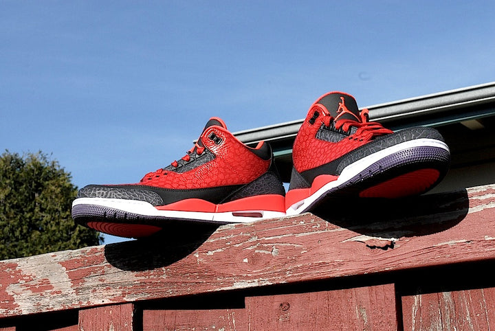Raptor Air Jordan 3