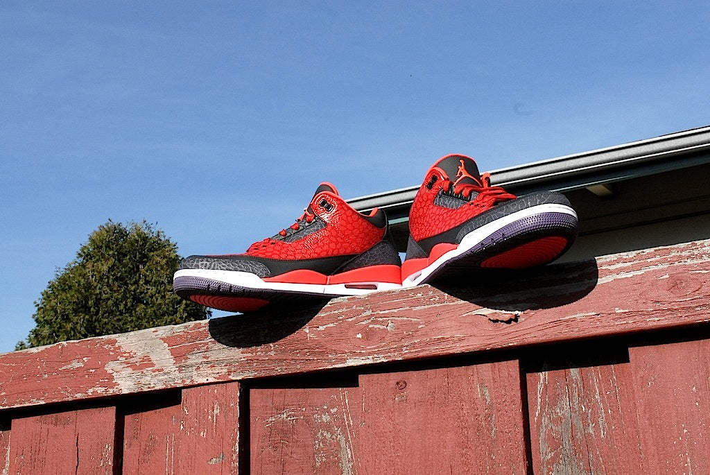 Raptor Air Jordan 3