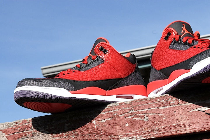 Raptor Air Jordan 3
