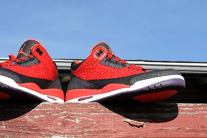 Raptor Air Jordan 3