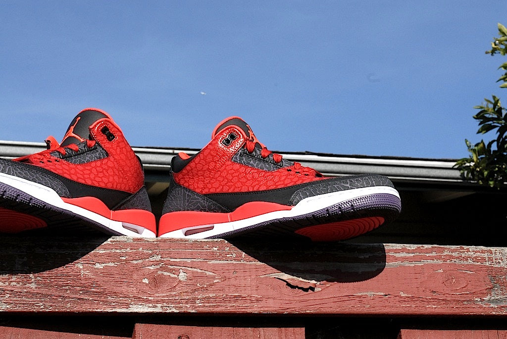 Raptor Air Jordan 3