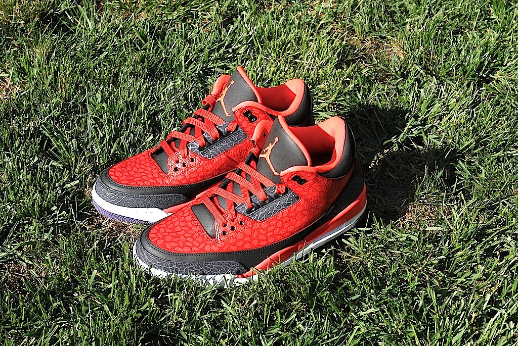 Raptor Air Jordan 3
