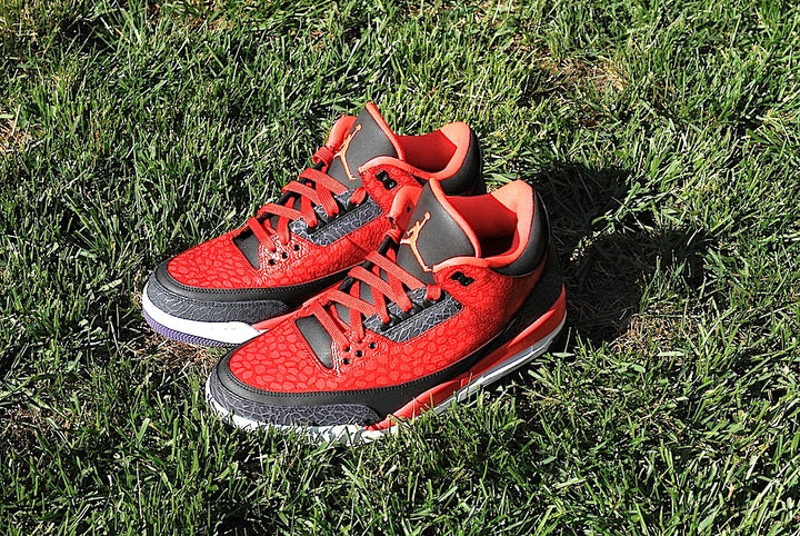 Raptor Air Jordan 3