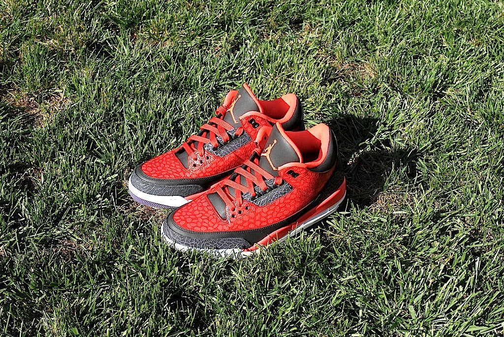 Raptor Air Jordan 3