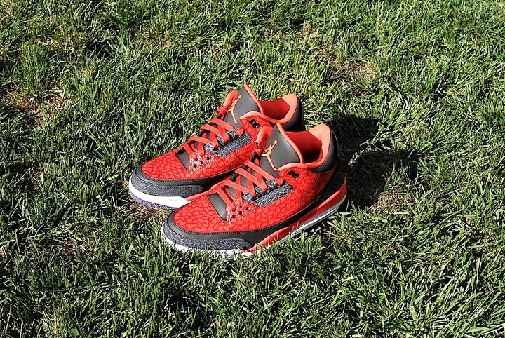 Raptor Air Jordan 3