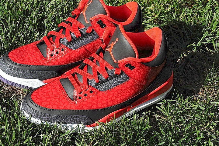 Raptor Air Jordan 3