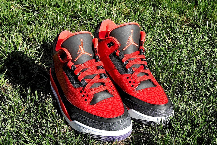 Raptor Air Jordan 3