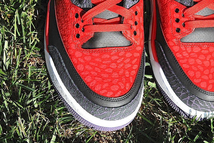 Raptor Air Jordan 3