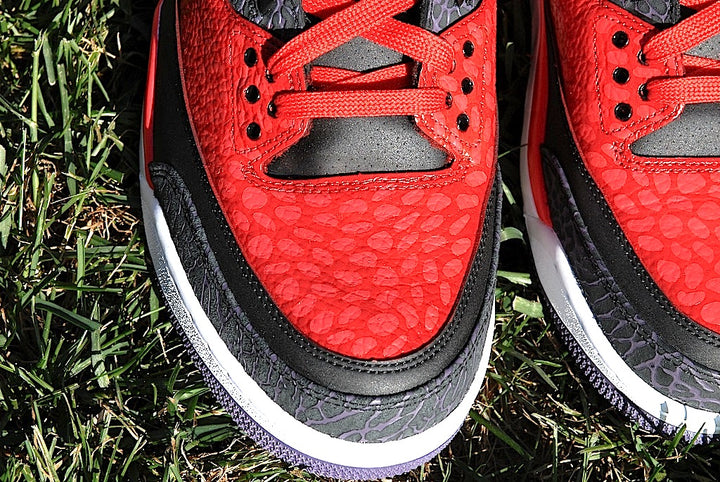 Raptor Air Jordan 3