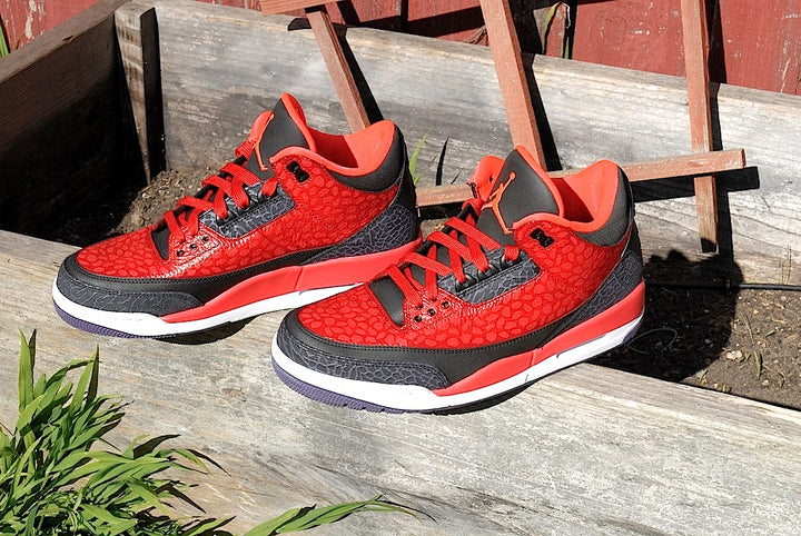 Raptor Air Jordan 3