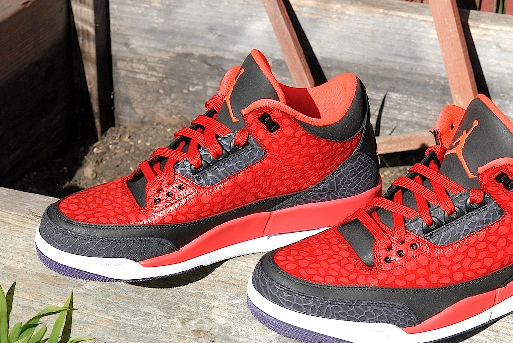 Raptor Air Jordan 3