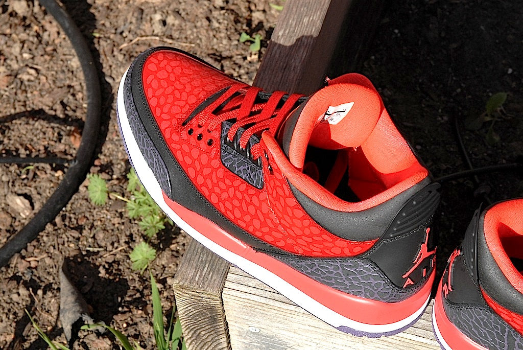 Raptor Air Jordan 3