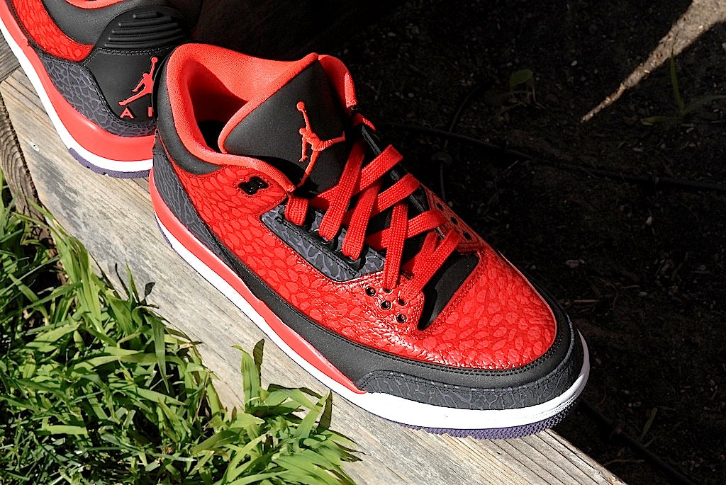 Raptor Air Jordan 3