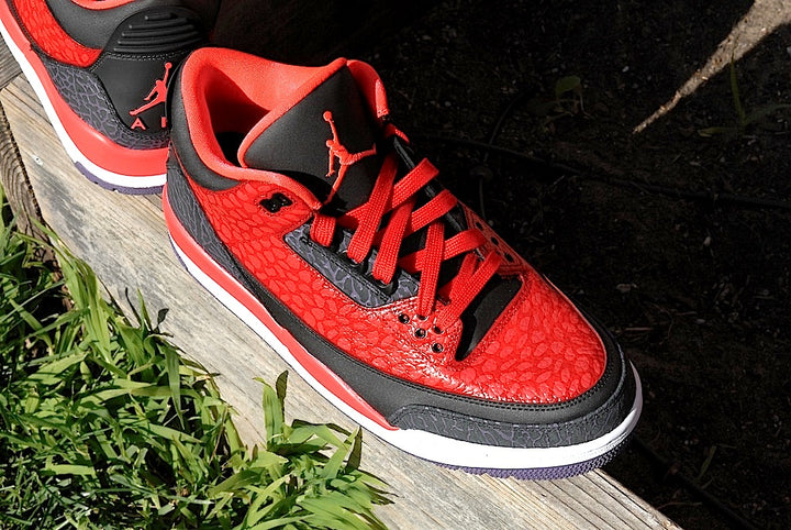 Raptor Air Jordan 3