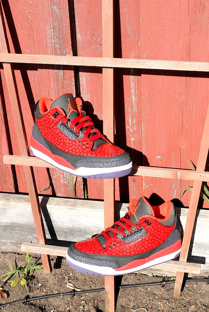 Raptor Air Jordan 3