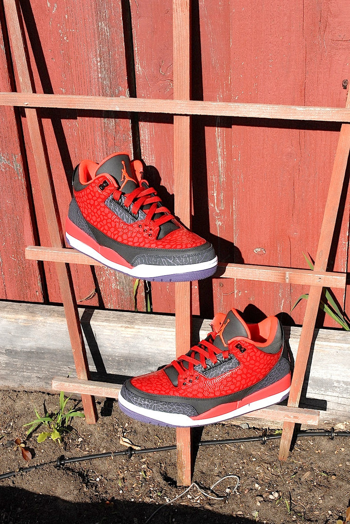 Raptor Air Jordan 3