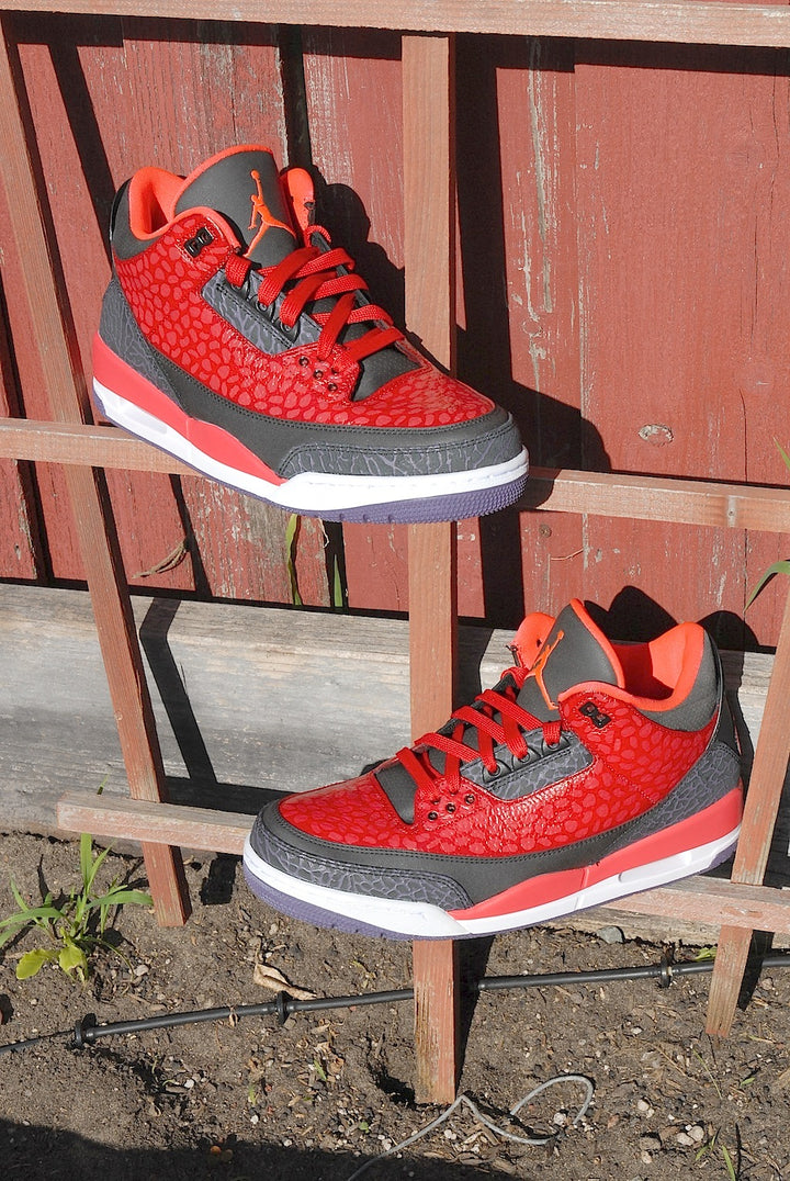 Raptor Air Jordan 3