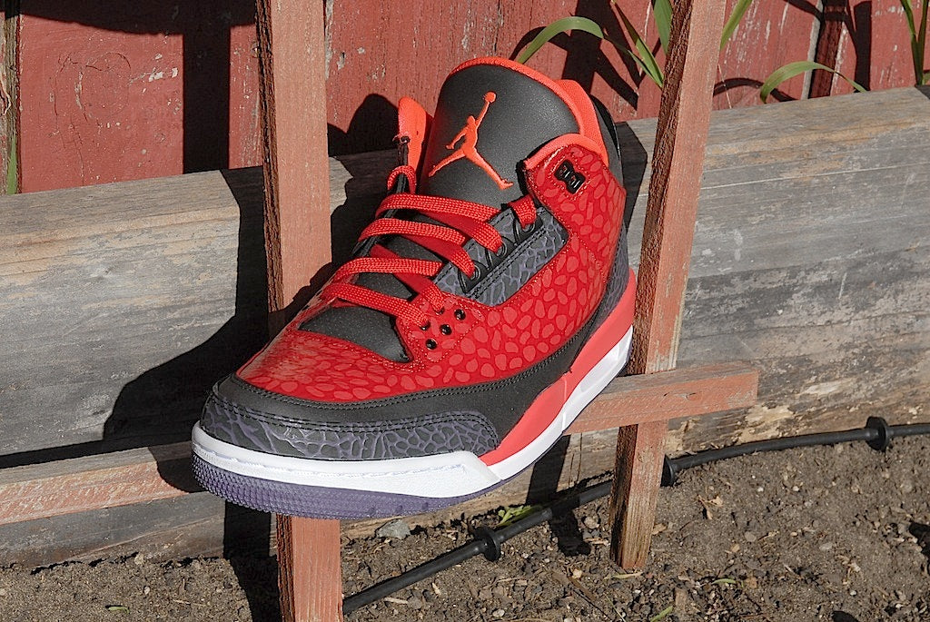 Raptor Air Jordan 3