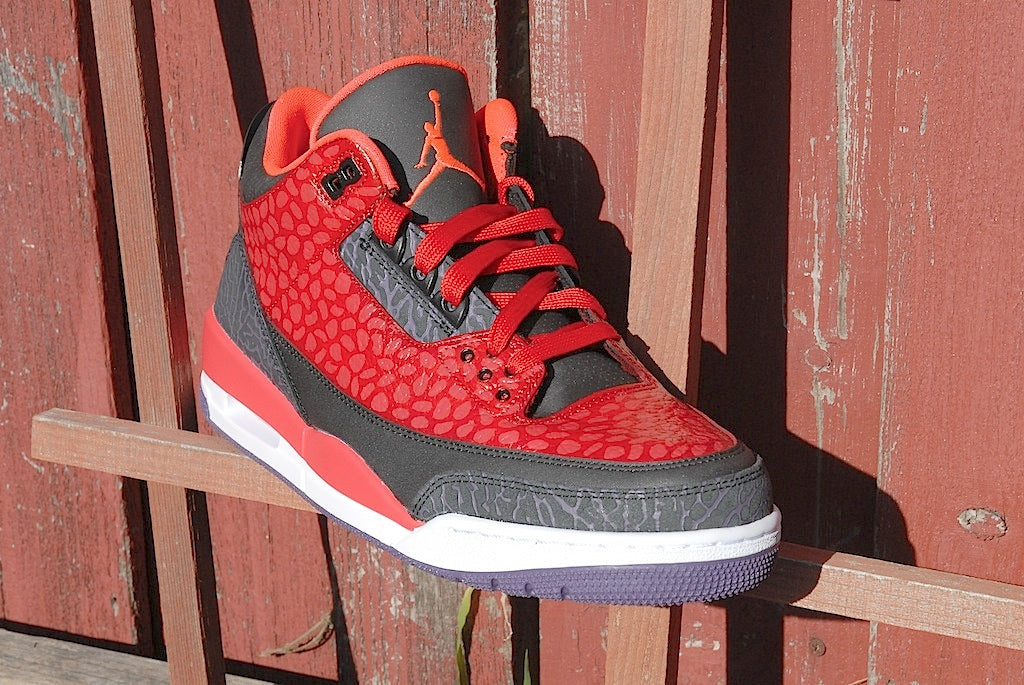 Raptor Air Jordan 3