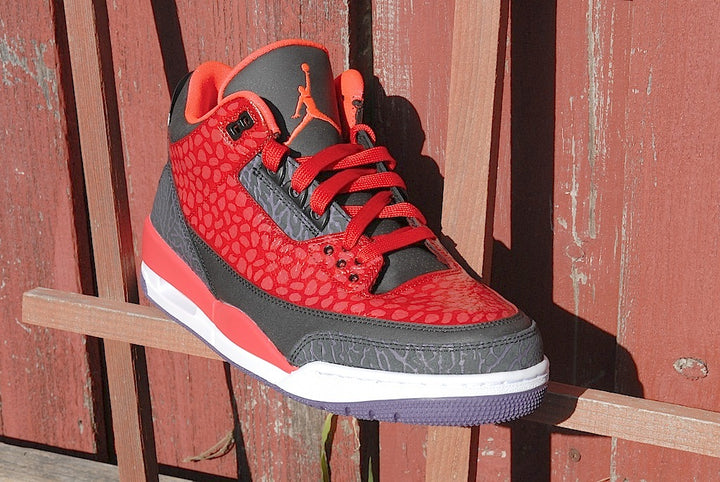 Raptor Air Jordan 3