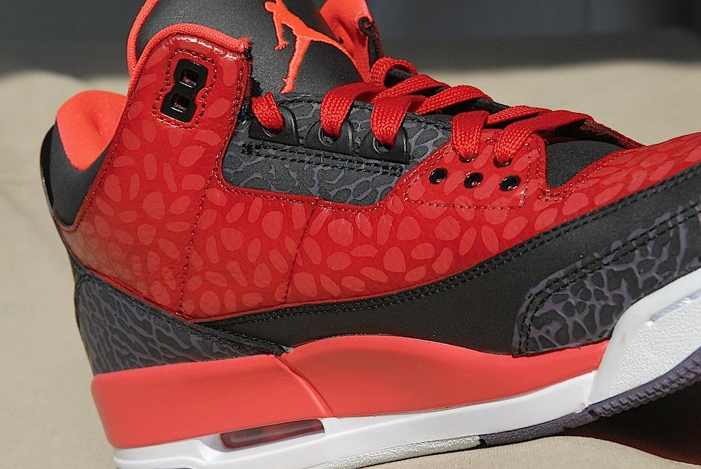 Raptor Air Jordan 3