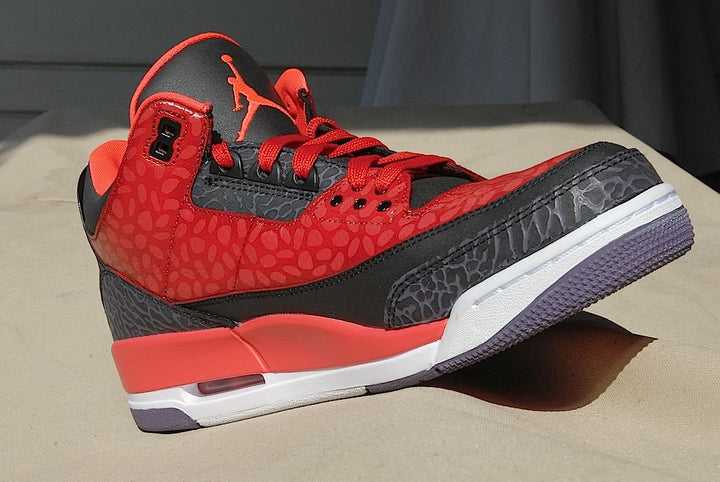 Raptor Air Jordan 3