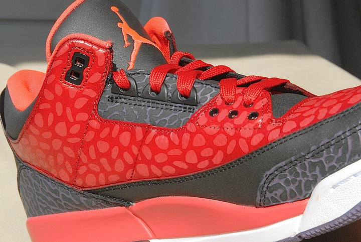 Raptor Air Jordan 3