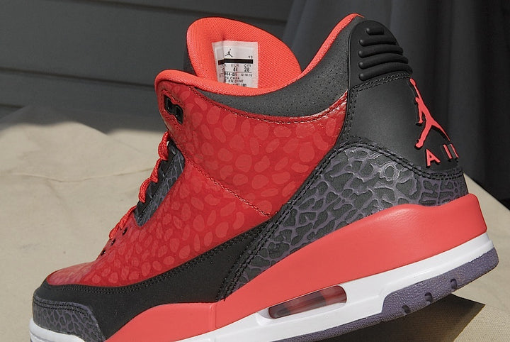 Raptor Air Jordan 3