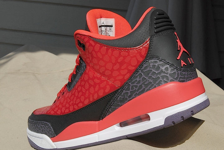 Raptor Air Jordan 3