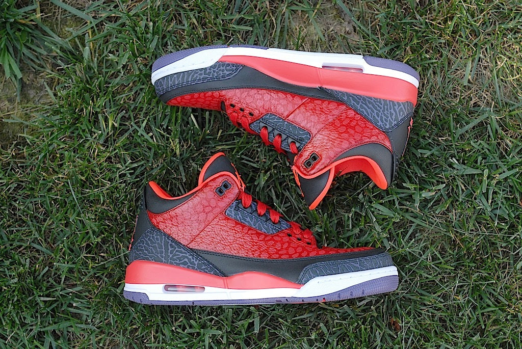 Raptor Air Jordan 3