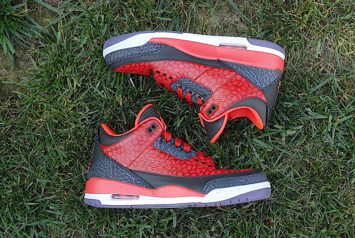 Raptor Air Jordan 3