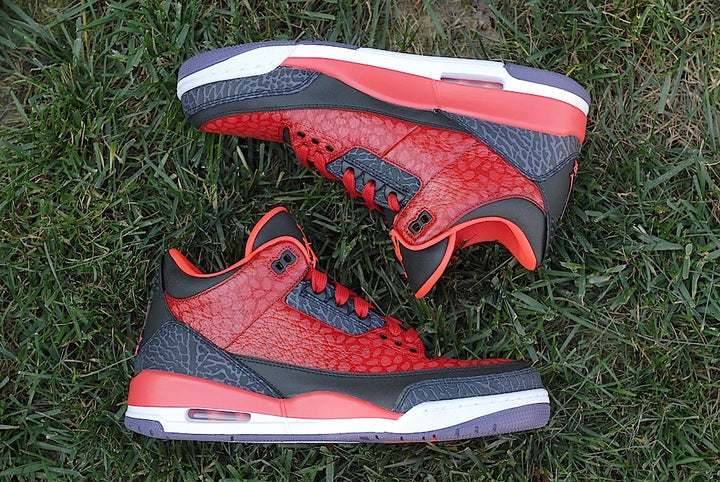 Raptor Air Jordan 3
