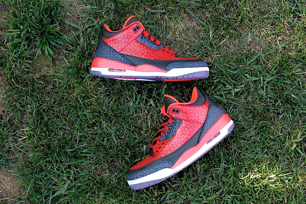 Raptor Air Jordan 3