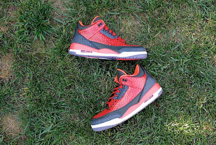 Raptor Air Jordan 3