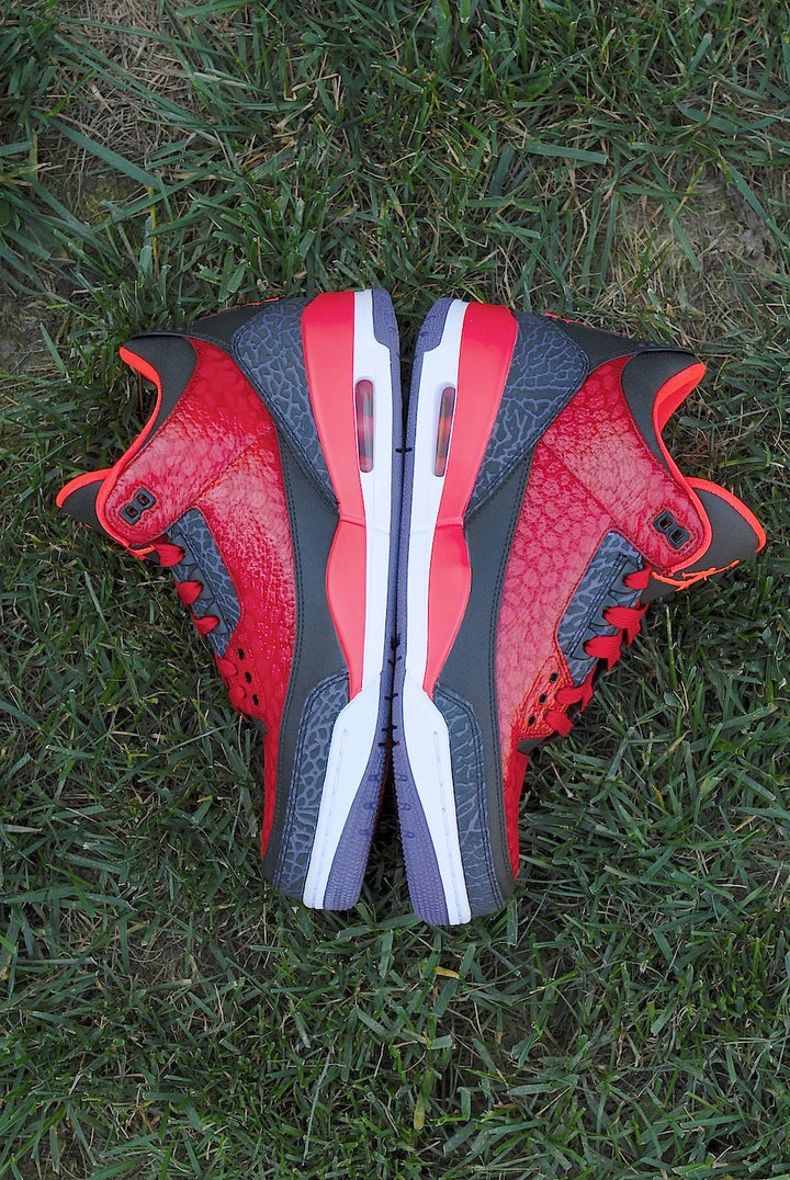 Raptor Air Jordan 3
